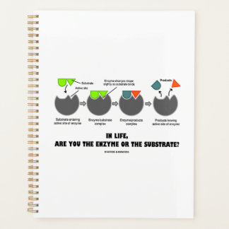 In Life Are You Enzyme Or Substrate? Induced-Fit Planner