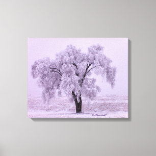 In Like a Lion Canvas Print