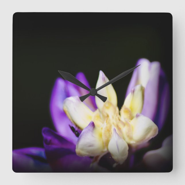 In Love With Lupine Square Wall Clock (Front)