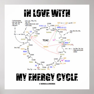 In Love With My Energy Cycle (Krebs Cycle) Poster