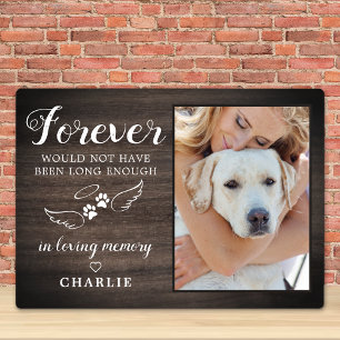 In Loving Memory Angel Wings Pet Memorial Photo Plaque