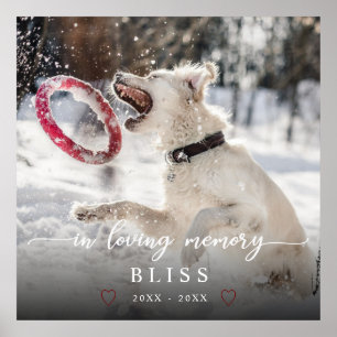 In Loving Memory Calligraphy Pet Photo Monogram Poster