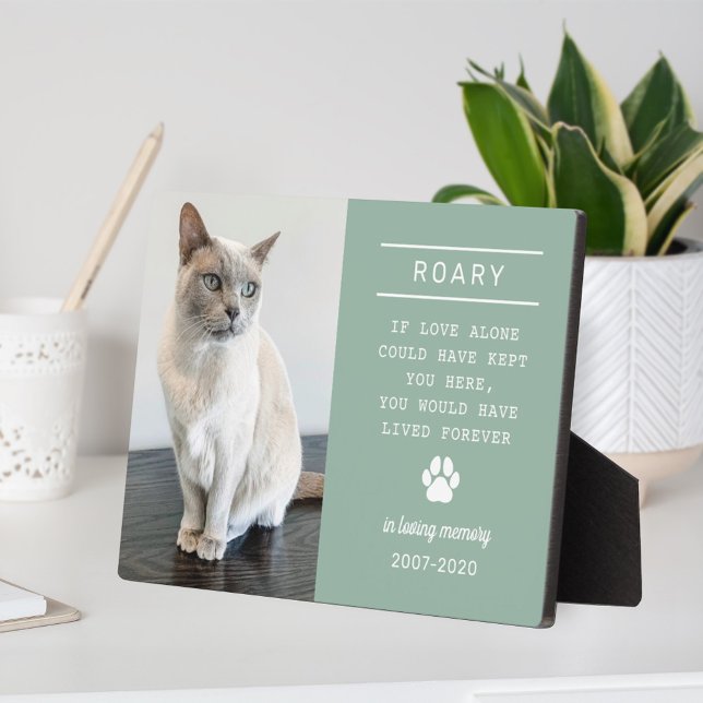 In Loving Memory Cat Personalised Photo Memorial Plaque (Creator Uploaded)