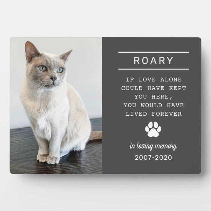 In Loving Memory Cat Personalised Photo Memorial Plaque Zazzle.co.uk