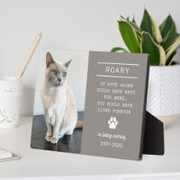 In Loving Memory Cat Photo Pewter Grey