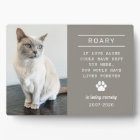 In Loving Memory Cat Photo Pewter Grey