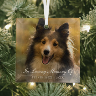 In Loving Memory Elegant Photo Pet Memorial Glass Tree Decoration