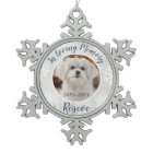 In Loving Memory | Grey Wood Pet Memorial Photo