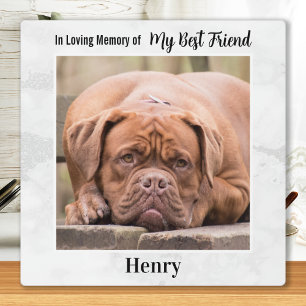 In Loving Memory - Man's Best Friend Pet Memorial Plaque