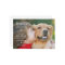 In Loving Memory Modern Custom Photo Pet Memorial