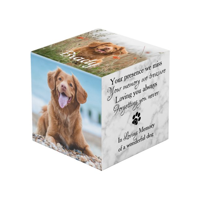 In Loving Memory Pet Loss Gift Pet Memorial Photo Cube (Front Angled)