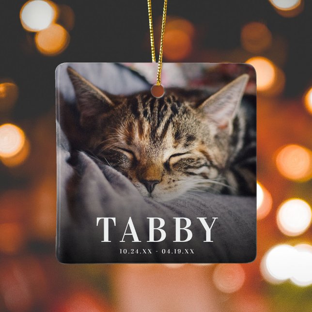 In loving Memory Pet Memorial Cat Tribute 2 Photo Ceramic Ornament (Creator Uploaded)