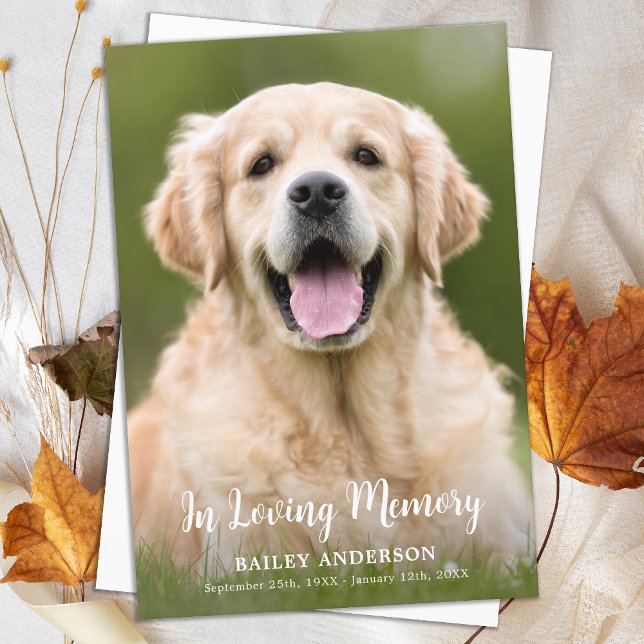 In Loving Memory Pet Memorial Modern Photo Thank You Card (Creator Uploaded)