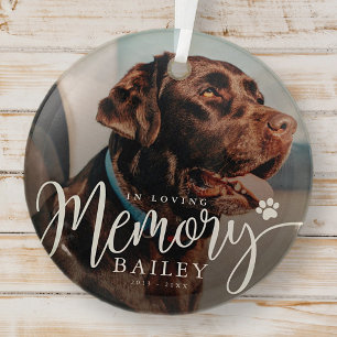 In Loving Memory Pet Memorial Modern Simple Photo Glass Tree Decoration