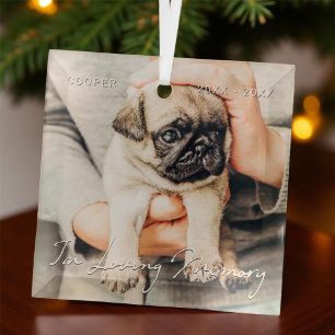In Loving Memory Pet Memorial Simple Modern Photo Glass Tree Decoration