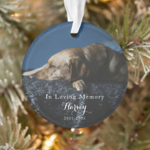 In Loving Memory Pet Photo Memorial Ornament
