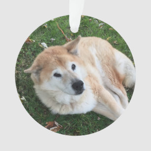 In Loving Memory Pet Photo Ornament