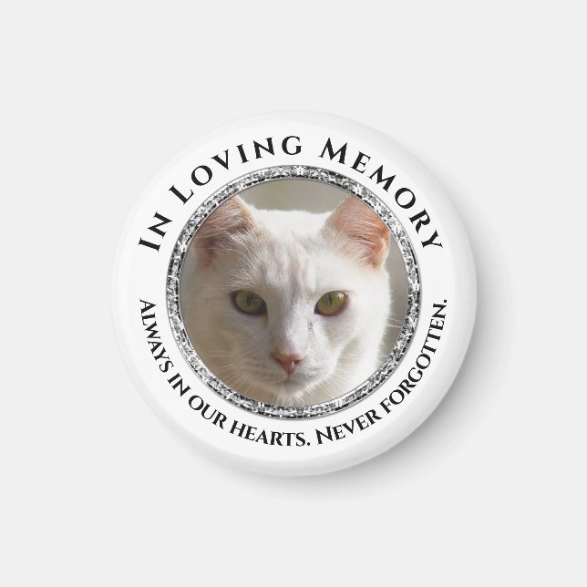 In Loving Memory Photo Cat/Pet Magnet (Front)