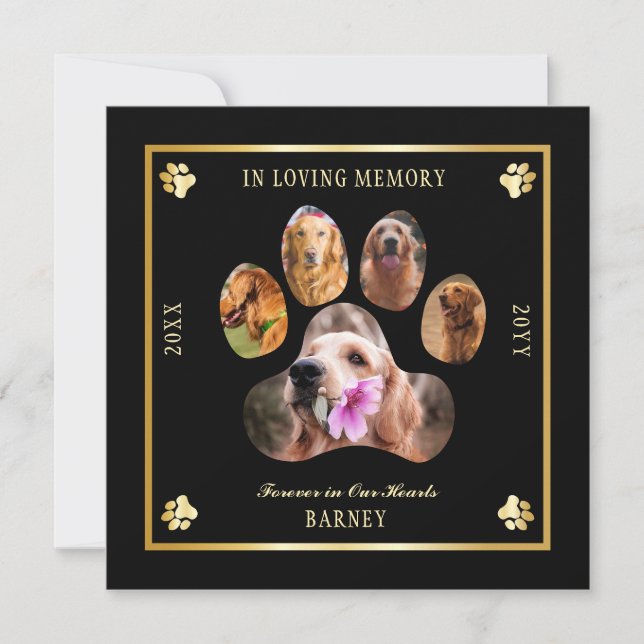 In Loving Memory Photo Pet Memorial - Black | Gold Invitation (Front)