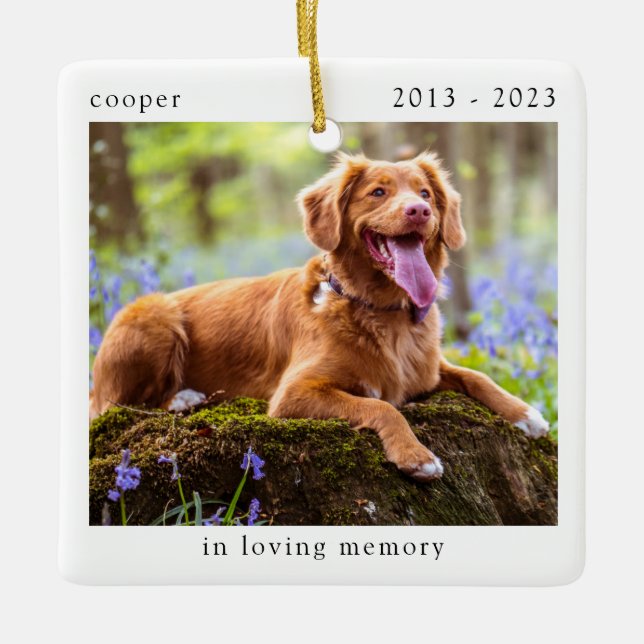 In Loving Memory Photo Pet Memorial Ceramic Ornament (Front)