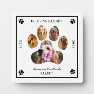 In Loving Memory Photo Pet Memorial - White Black Plaque