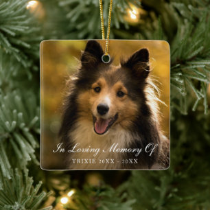 In Loving Memory Two Photos Pet Memorial Ceramic Ornament