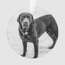 In Memory - Black Lab customisable memorial