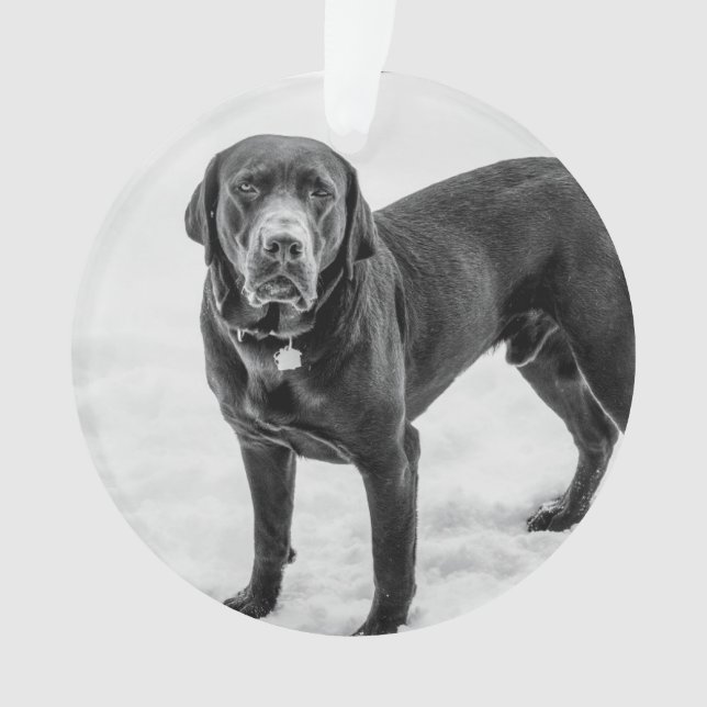 In Memory - Black Lab customisable memorial Ornament (Front)