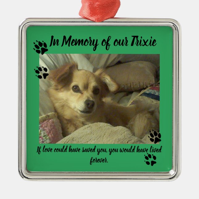 In Memory of our pet ornament memorial (Front)