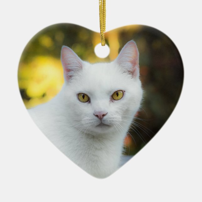 In Memory Of Pet Memorial Rainbow Ornament (Front)