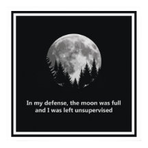 In my defence, the moon was full