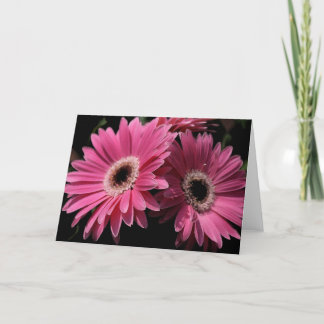 In Pink G_4 Greeting Card