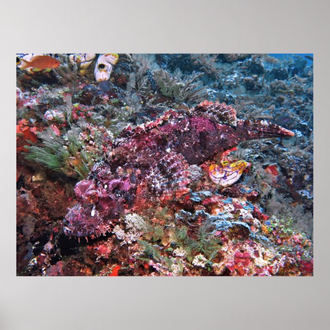 In Plain Sight Poster (Front)