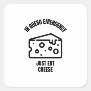 In queso emergency funny cheese pun jokes square sticker