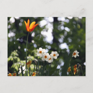 In Rememberance Postcard