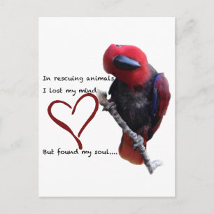 In rescue, I lost my mind, but found my soul. Postcard
