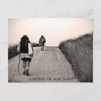 In search, Camino de Santiago