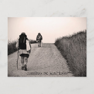 In search, Camino de Santiago Postcard