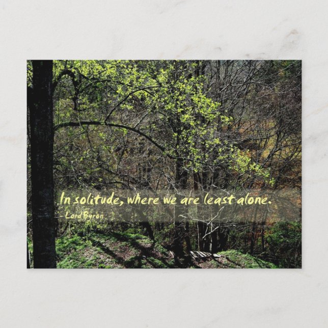 In solitude... postcard (Front)