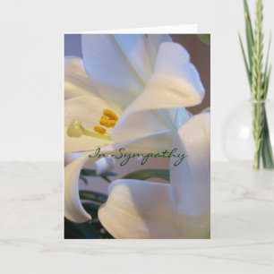 In Sympathy Card
