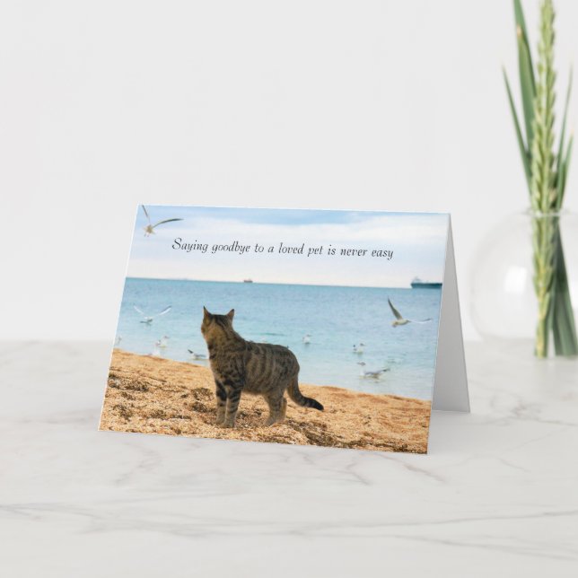 In Sympathy for Death of Cat Card (Front)