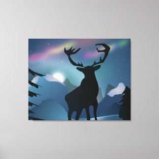 In The Aurora Canvas Print