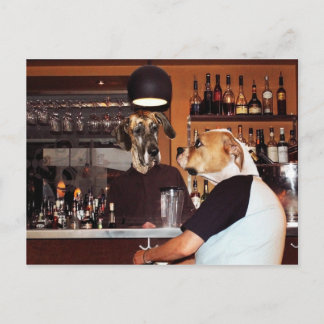 In the bar postcard