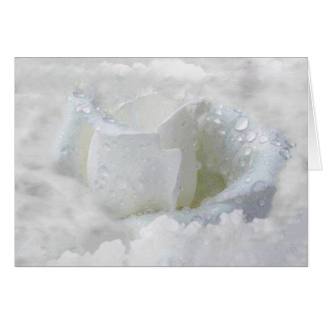 In The Clouds Cards (Front Horizontal)