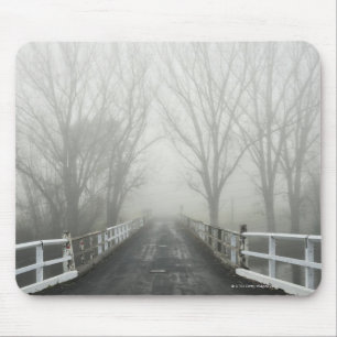 In the cold season, the Murray valley is often Mouse Mat