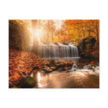 IN THE COLORS OF THE AUTUMN