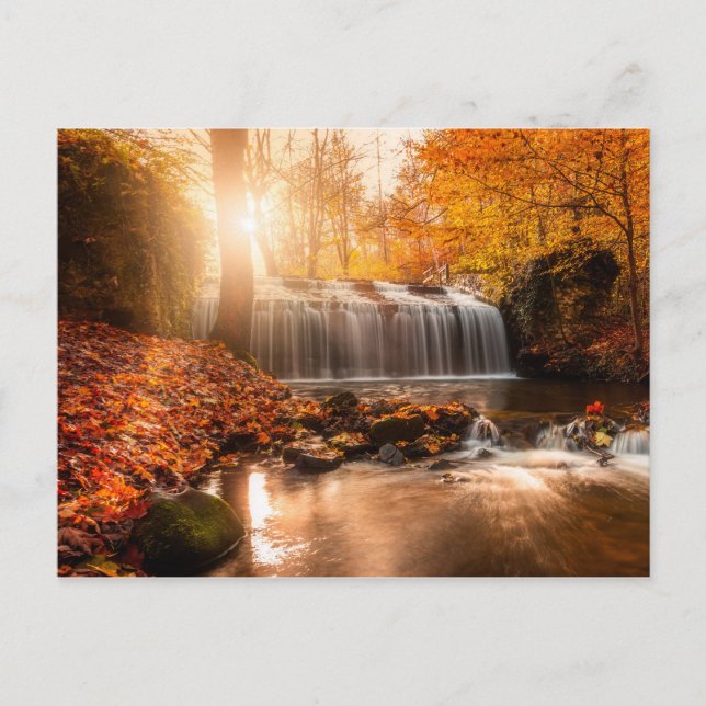 IN THE COLORS OF THE AUTUMN POSTCARD (Front)