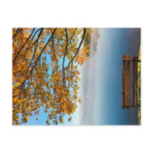 IN THE COLORS OF THE NATURE THE AUTUMN