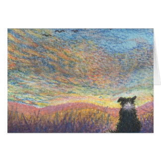 In the Colour of Evening