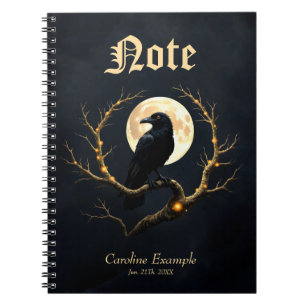 In the Darkness of the Night” – The Moon’s Silent Notebook